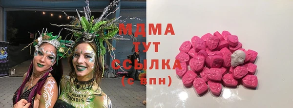 прущие грибы Щучье