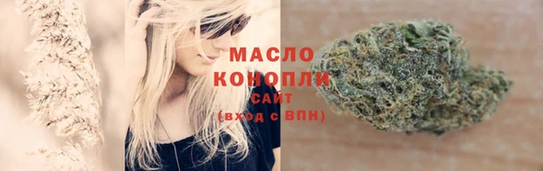 соль ск Переславль-Залесский