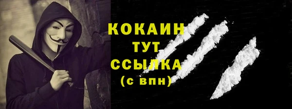 соль ск Переславль-Залесский