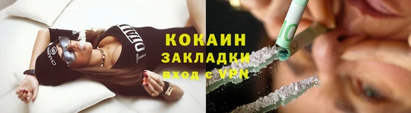 крисы Пестово