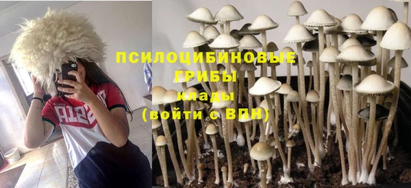 крисы Пестово