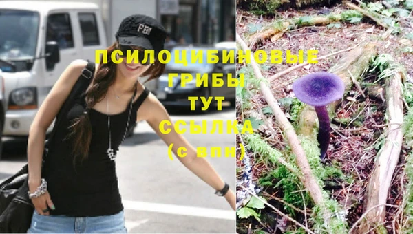 крисы Пестово