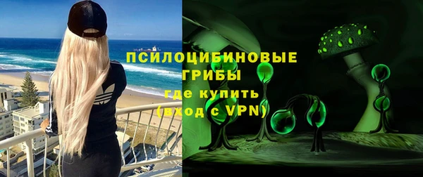 соль ск Переславль-Залесский