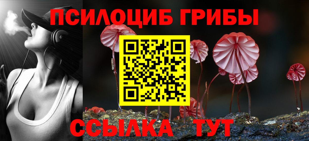 Галлюциногенные грибы Psilocybe  дарнет шоп  Вход с VPN  Воскресенск  Галлюциногенные грибы Psilocybine cubensis 