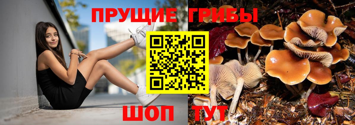 Галлюциногенные грибы мухоморы  Воскресенск 